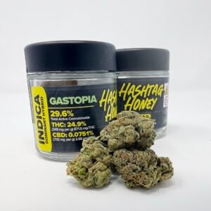 Hashtag Honey Gastopia 3.5g Flower